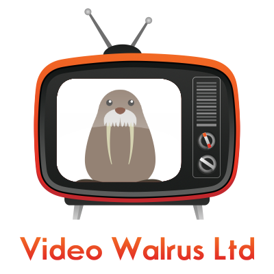 Video Walrus